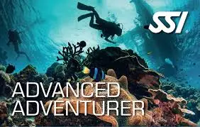 Advanced Adventurer