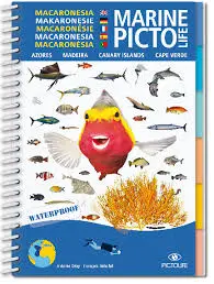 Pictolife groot (Indian)