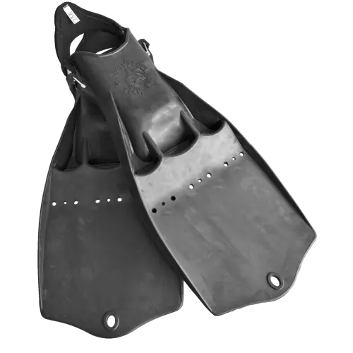 Dive System