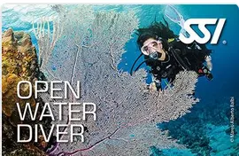 Open Water Diver
